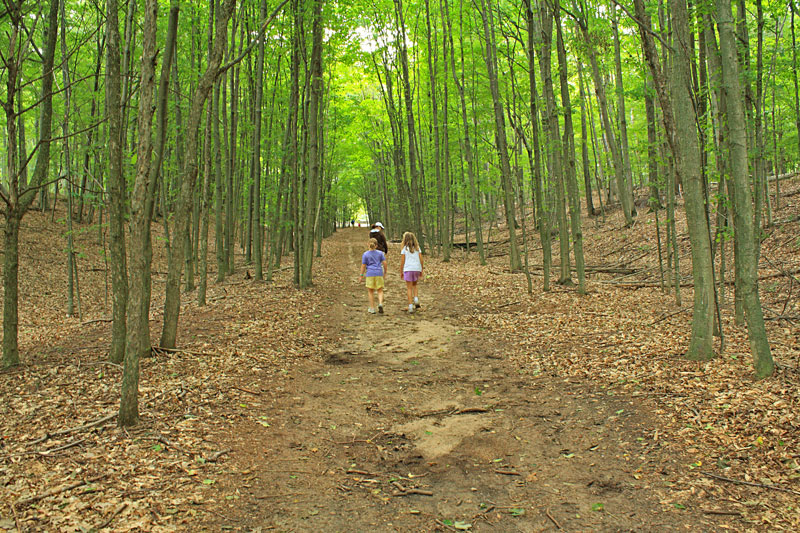 aligator hill trail